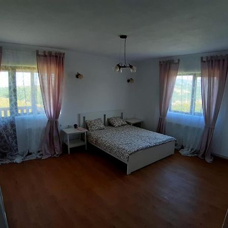 Hotel Casuta De La Munte à Sfodea Extérieur photo