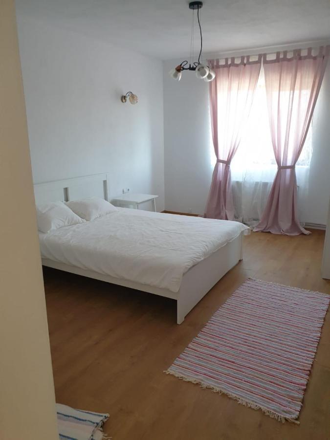 Hotel Casuta De La Munte à Sfodea Extérieur photo