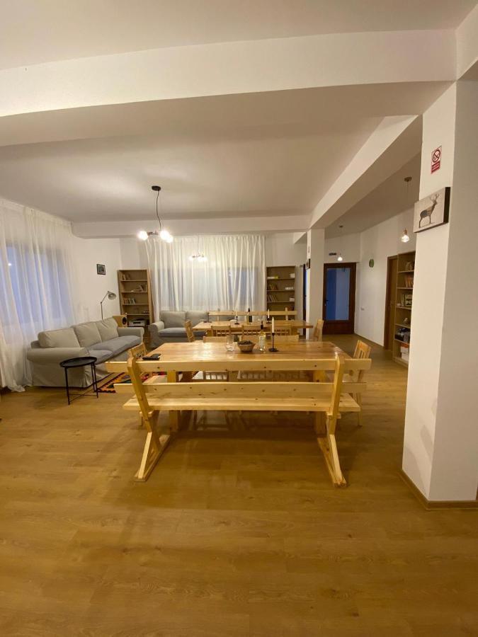 Hotel Casuta De La Munte à Sfodea Extérieur photo