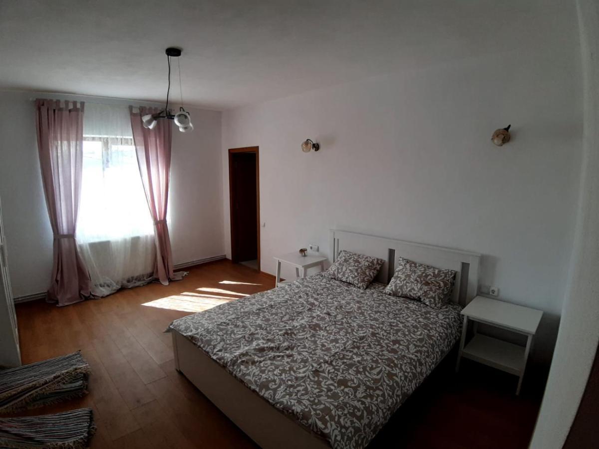 Hotel Casuta De La Munte à Sfodea Extérieur photo