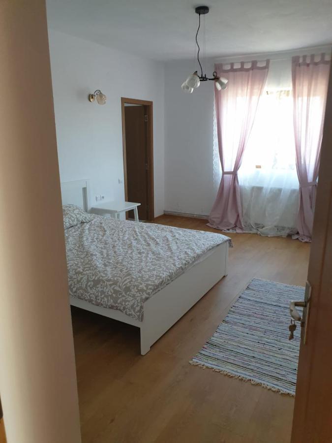 Hotel Casuta De La Munte à Sfodea Extérieur photo