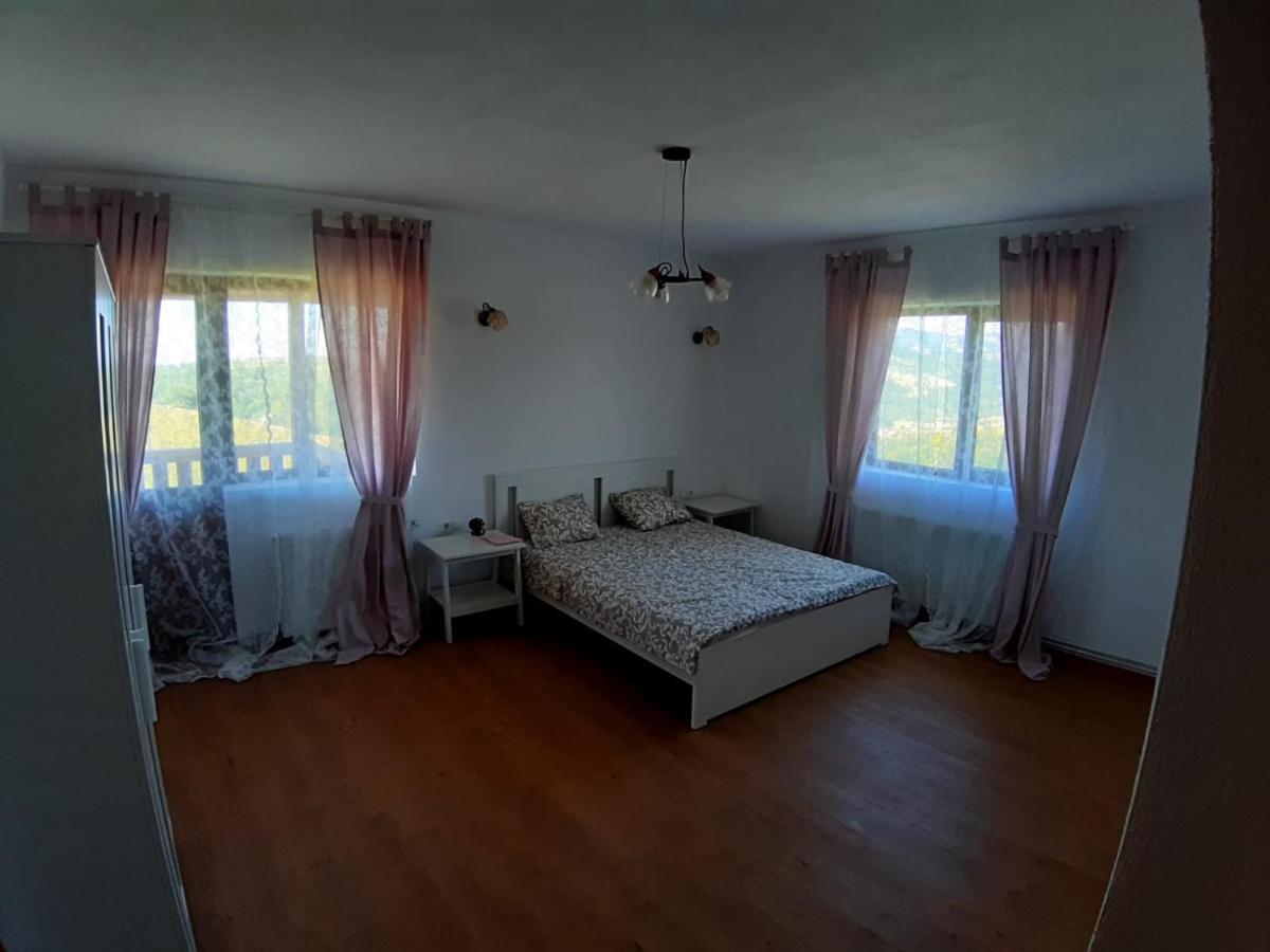Hotel Casuta De La Munte à Sfodea Extérieur photo