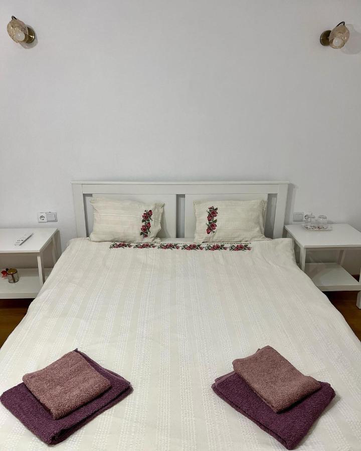 Hotel Casuta De La Munte à Sfodea Extérieur photo
