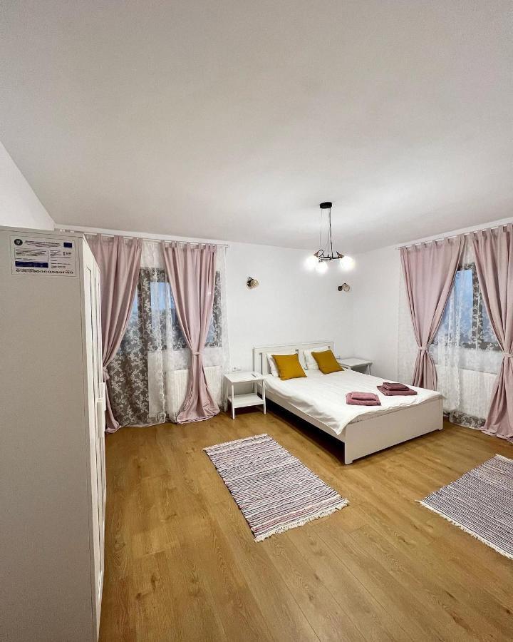 Hotel Casuta De La Munte à Sfodea Extérieur photo